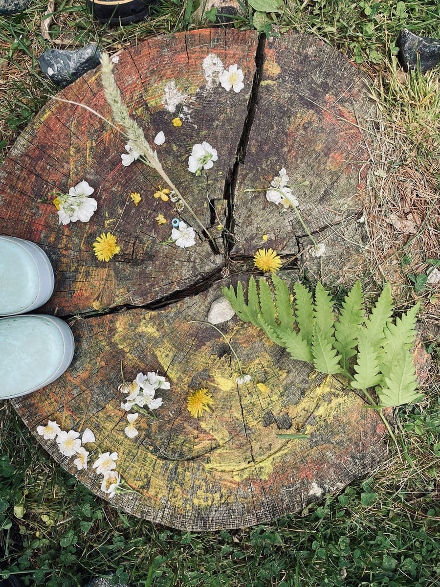 Children exploring in a forest