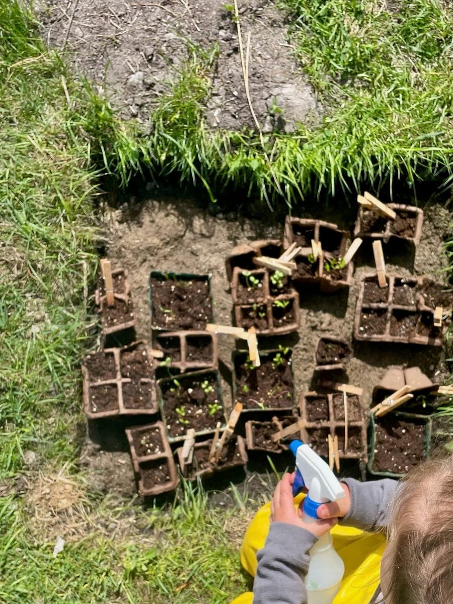 Child planting seedlings