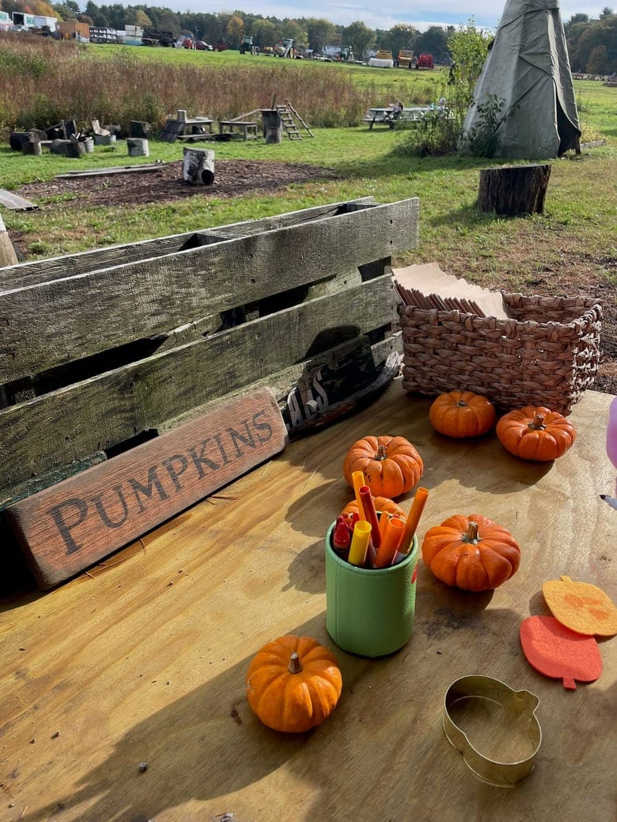 Farm pumpkins