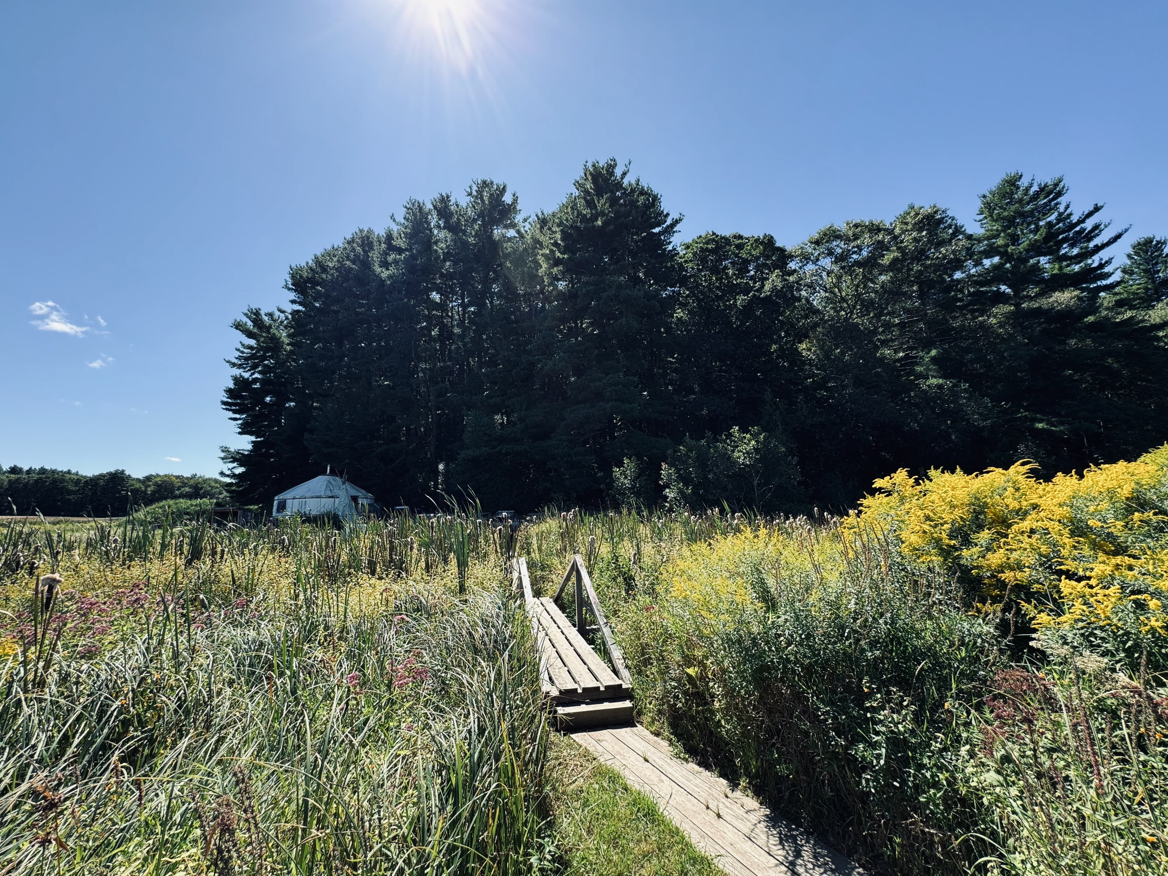 Children playing outdoors at Sprouts Farm and Forest Kindergarten