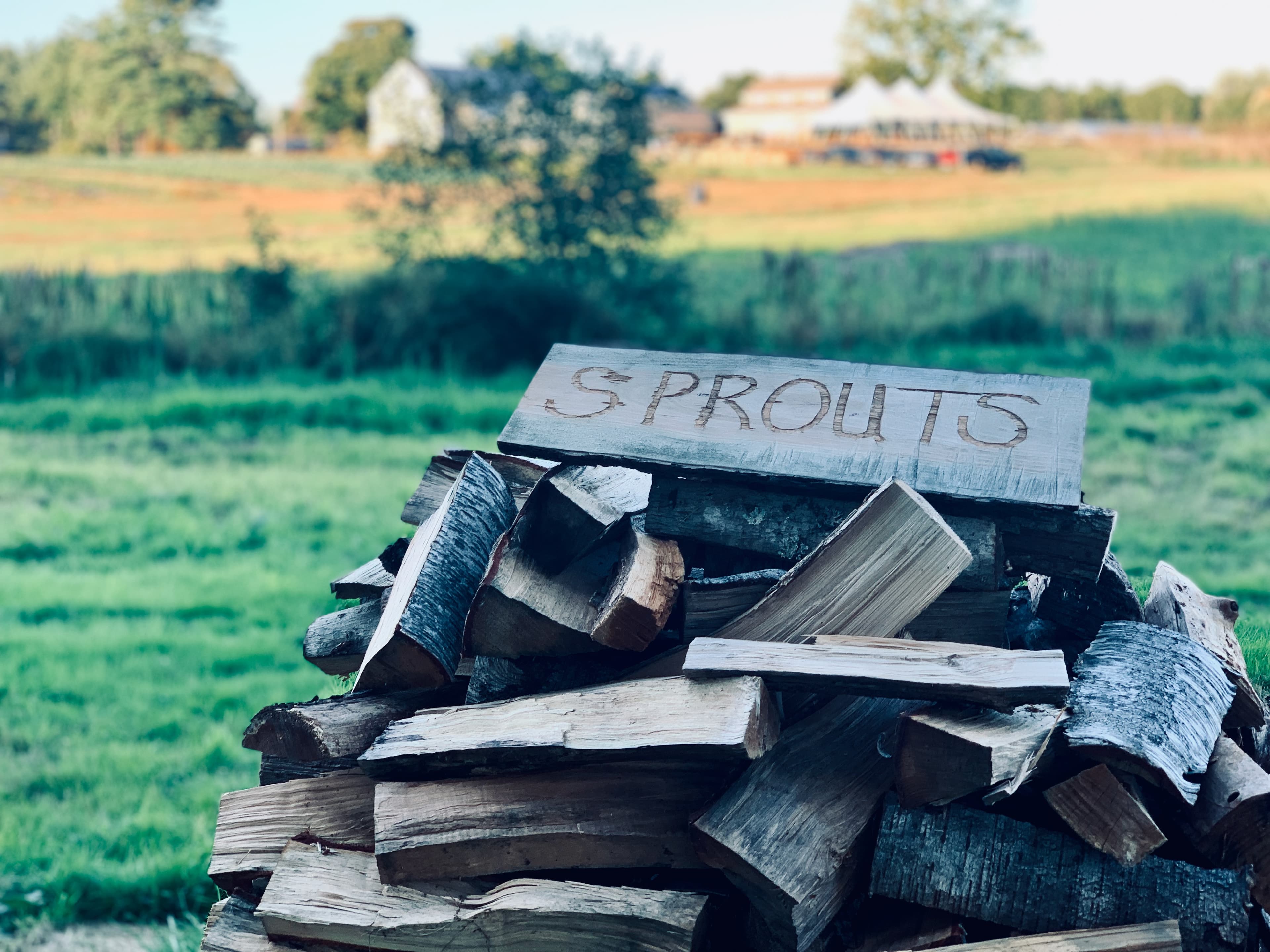 Sprouts sign on firewood at Tangerini's Farm